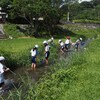 小学校・市内の川の野外学習へ（淡水編）