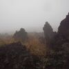 全国火山博物館ネットワークの皆さんと歩きました。