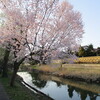 なんでもないけれど、濃い 一日