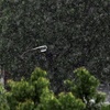 40-150mm ・雨02・・