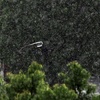 40-150mm ・雨02・・