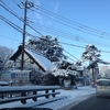 山梨は雪だった