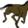 【追い切り注目馬（先週の回顧）】【賢島特別】他　2024/9/21(土) 中山・中京競馬　価値ある試走