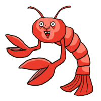 かわいいエビ のイラスト