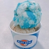 【沖縄グルメ】冬にアイスを食べても寒くない！沖縄で食べたいBLUESEALアイスフレーバー