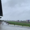 大雨の東京競馬場に行ってきた