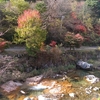 岡山県内小旅行 西粟倉村観光