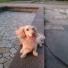 潮風公園。