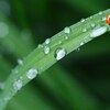 あいにくの雨、でも実はとっても素敵な時間をくれる雨！