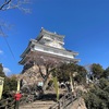 金華山でチャート観察