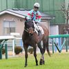１６日に帰厩。今週末の特別戦に登録済みも、来月６日の小倉・障３３９０ｍへ回ることになりそう。☆シングルアップ