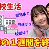 4月16日の動画