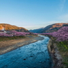 花粉つらい、、、