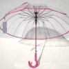 帰れマンデーのビニール傘は通販で買える！かわいい傘の販売店はココ！