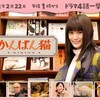 "猫の日スぺシャルドラマ「かんばん猫」　全4話一挙放送 | ＢＳテレ東" を YouTube で見る