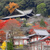 豊山神楽院長谷寺（奈良県桜井市）