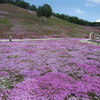 春満喫の北海道の旅