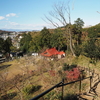 PT   思金神社に行こう！！（2017年12月17日）