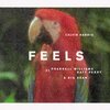 Calvin Harris - Feels ft. Pharrell Williams, Katy Perry, Big Sean 歌詞和訳で覚える英語