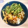 雑賀屋（京成関屋/牛田）春菊天うどん＋イカゲソ天