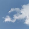 のんびり留守番の日 チェックはマメにしないとね