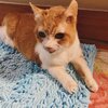 チャチャくんお迎え306日目