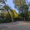 １．２８（火・晴れ）中国の驚異、脅威。Ｄｅｅｐ　Ｓｅｅｋショック。今日から春節。