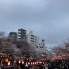 目黒のサンマならぬ中目黒の桜🌸