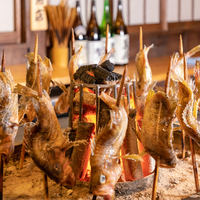 最新6月5日更新 川崎市溝の口でコロナ禍時以降深夜もお酒の飲める居酒屋 お店まとめ Willwill Station 最新6月5日更新 川崎市溝の口でコロナ禍時以降深夜もお酒の飲める居酒屋 お店まとめ Willwill Station