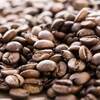 コーヒー豆の種類　アラビカ豆とロブスタ豆