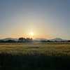 連休明け、わりと元気