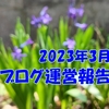 2023年3月ブログ運営報告 短縮版 精彩を欠いた3月 運営方針を見直し