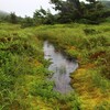 　月山・鳥海山