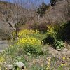 温かな日のハイキング　鞍掛峠から満観峰へ