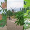 花いっぱいのアンデルセン公園へ、