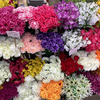 佐世保店 お彼岸造花 販売 開始✨