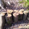 【神域の雑木使いませんか？】