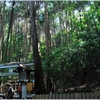 大神神社写真館（７/１８）