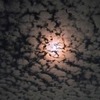 月夜