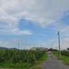 里山シリーズ９３牛舎のある夏の風景（東近江）