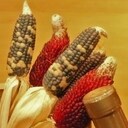 カウンターのたからばこ「旬★農★恵み」