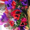 春のお花屋さん、スイートピー、アネモネなどの色色色