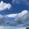 悪い人ではないのですが、困った人ではあります
