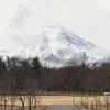 今日の富士山