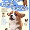 想定外の犬 