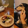 【肉】台北: ペットフレンドリーなお洒落バル！「肉玩バル（Meat Play Bal）」＠中山林森北路