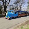 春の夏日に昭和記念公園。桜はまだ。