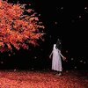 Aimer 『茜さす』