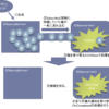 Reactive Extensions再入門 その３「IObservableのファクトリメソッド」