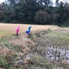 冷たい雨に打たれて......